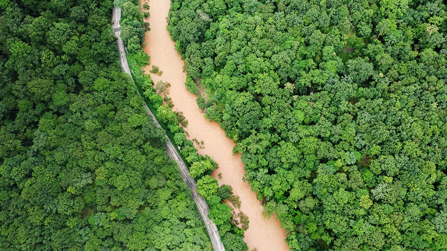 Arial shot of a river flowing through green trees to demonstrate sustainable investing options